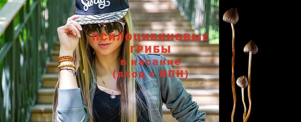 мяу мяу мука Санкт-Петербург