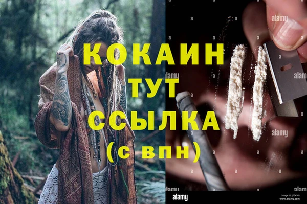 мяу мяу мука Санкт-Петербург