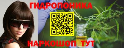 индика Краснознаменск
