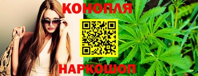индика Азнакаево