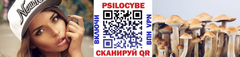 Псилоцибиновые грибы прущие грибы  где продают наркотики  Севастополь 