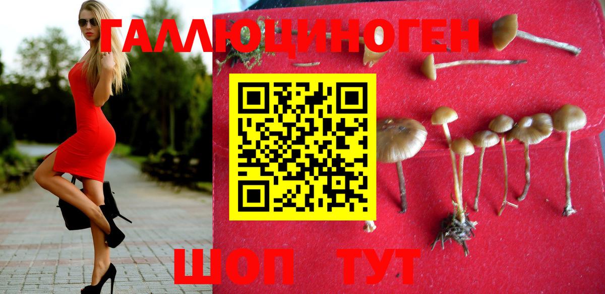 Россия  купить  сайты  Вход с VPN  Галлюциногенные грибы GOLDEN TEACHER 